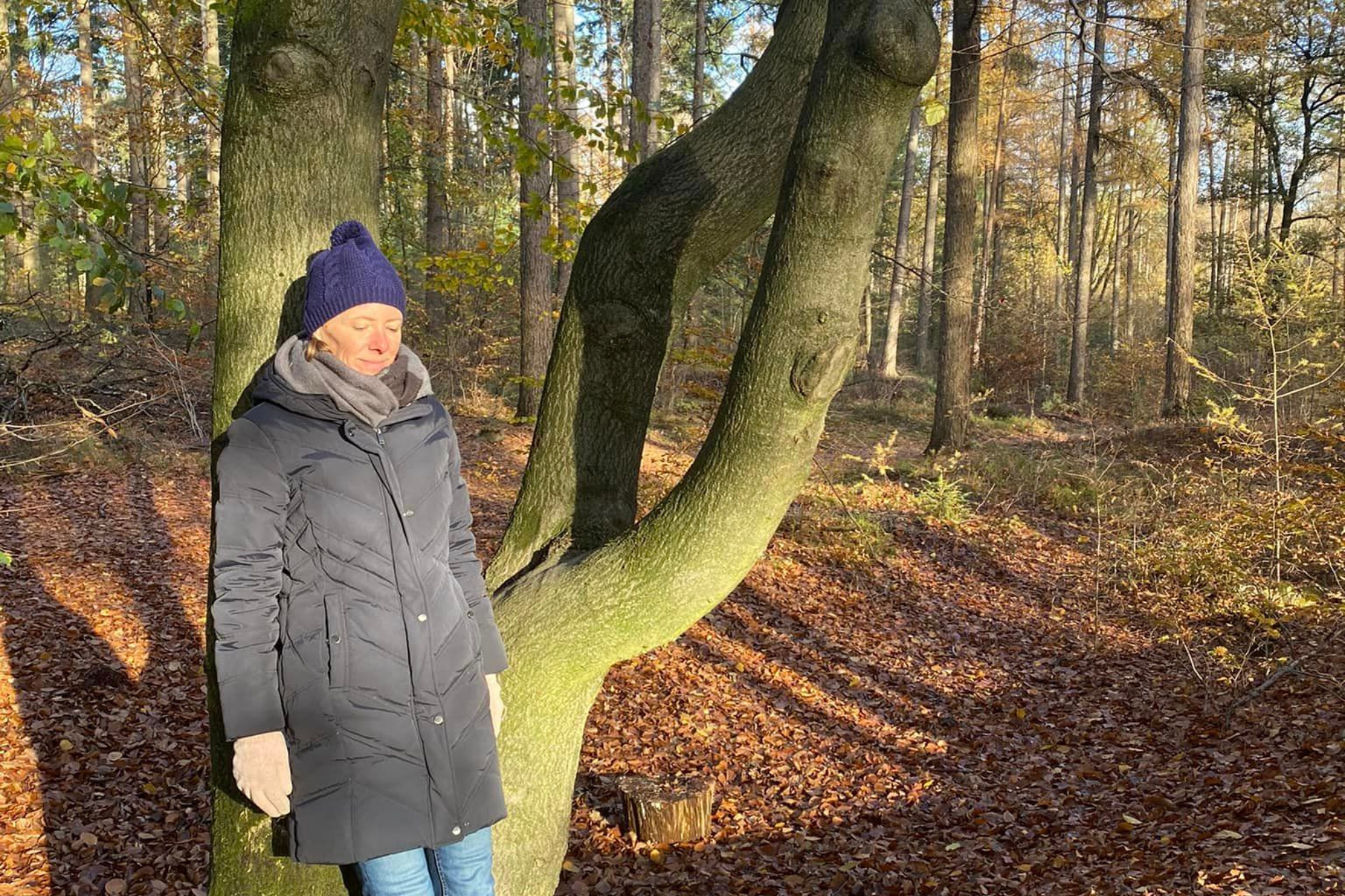 Bij de boom