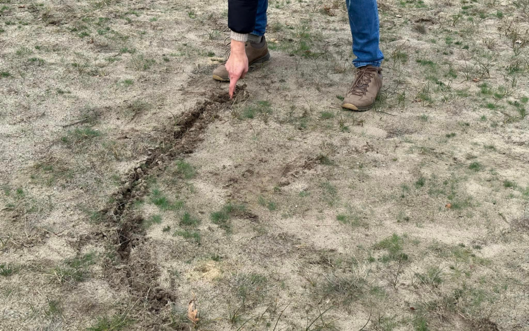 Hoe werkt dat nu, zo’n opstelling in de natuur?