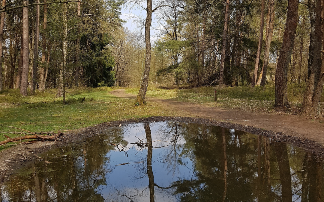Wat je oordeel over een ander zegt over jou
