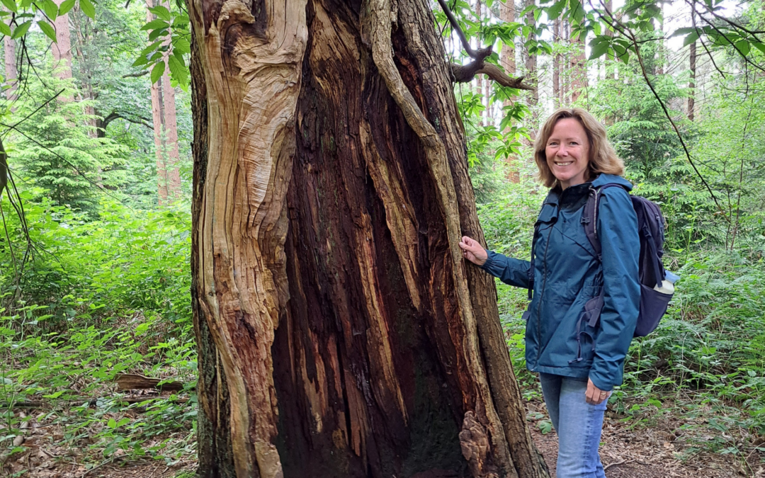 De sherlock holmes in mij