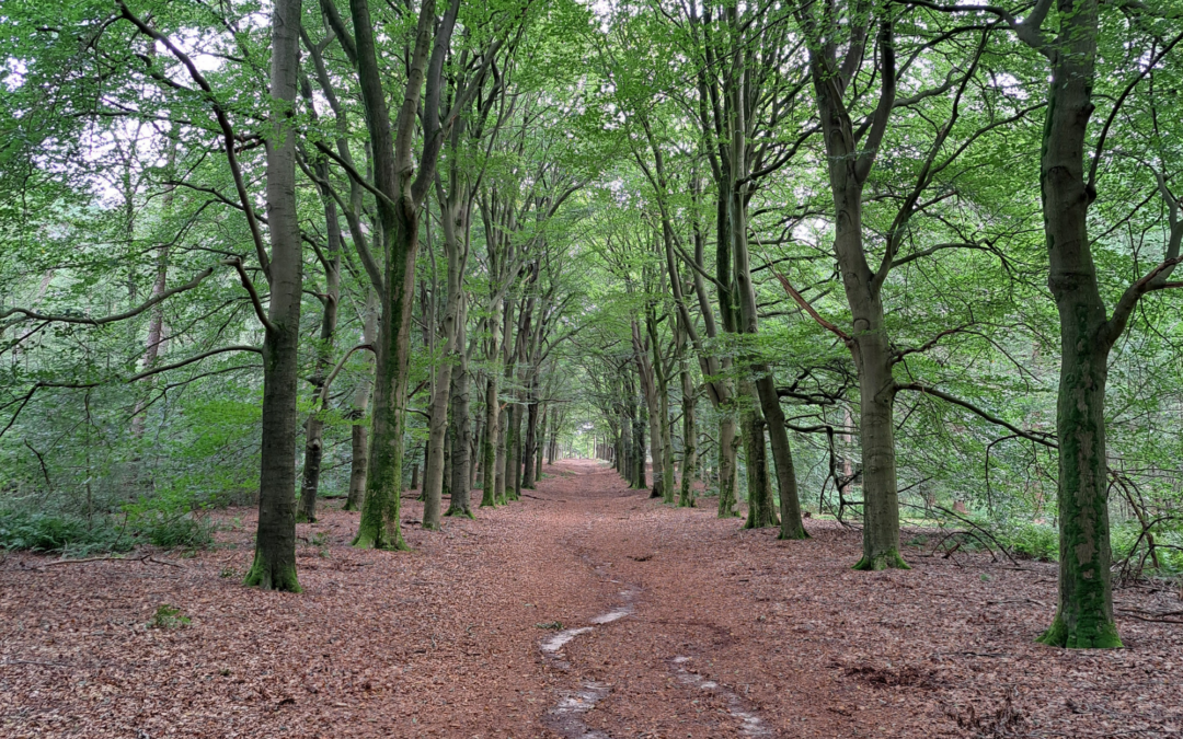 Het gedrag van een ander kun je niet veranderen. Jouw reactie erop wel.