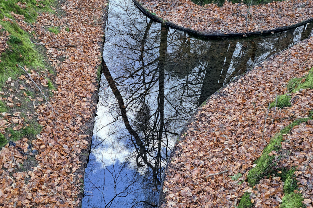 Spiegeling in paleispark