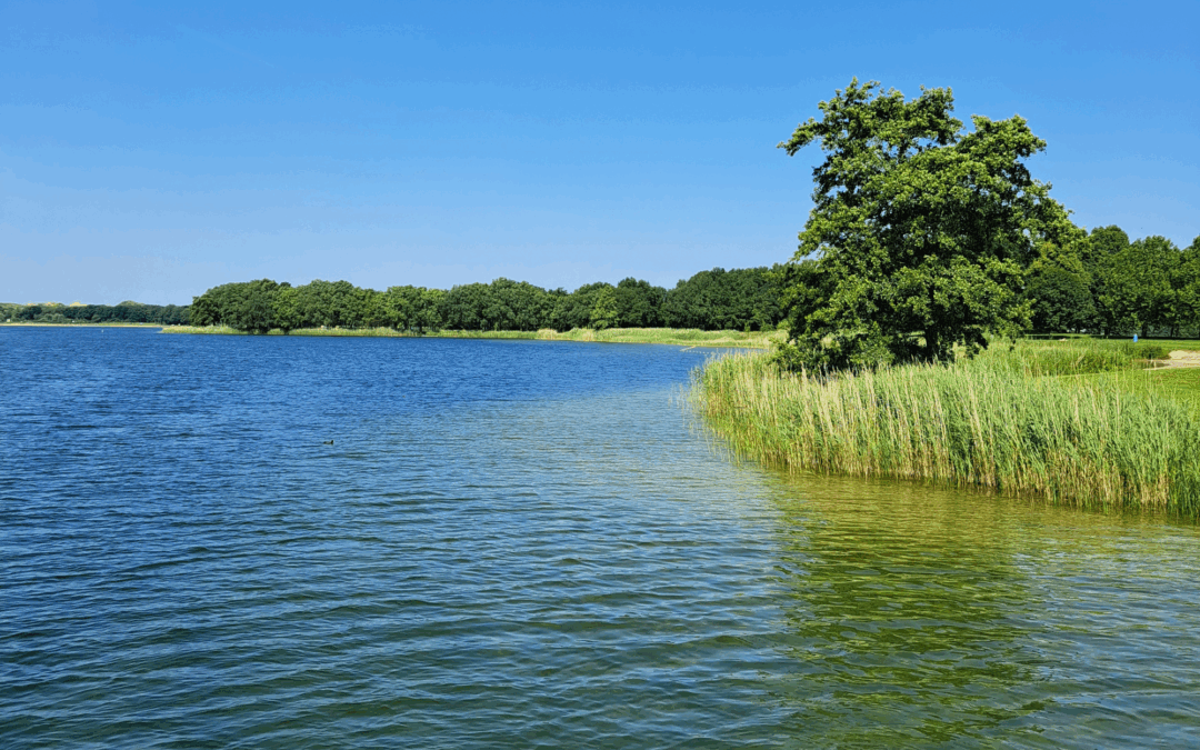 Jij hebt andere ouders dan je broers en zussen