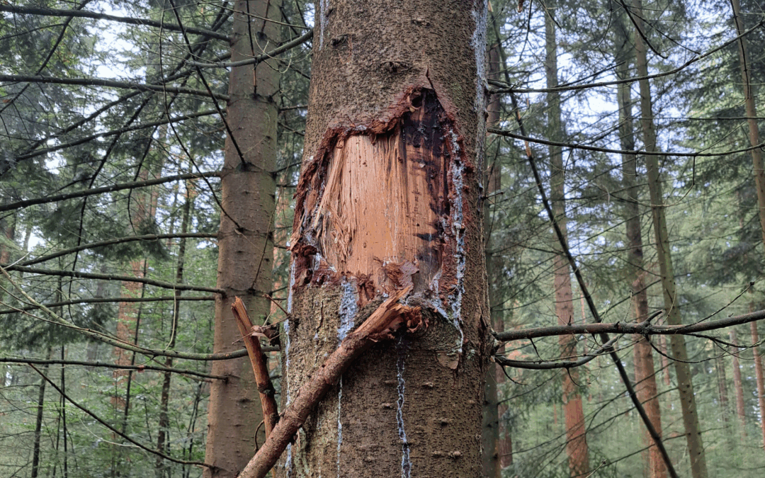 Het oordeel van een ander zegt niets over jou