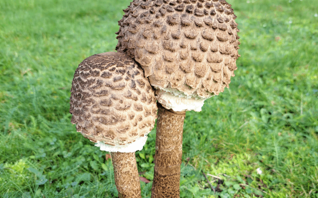 Hoe mijn klant loskwam van schaamte en frustratie