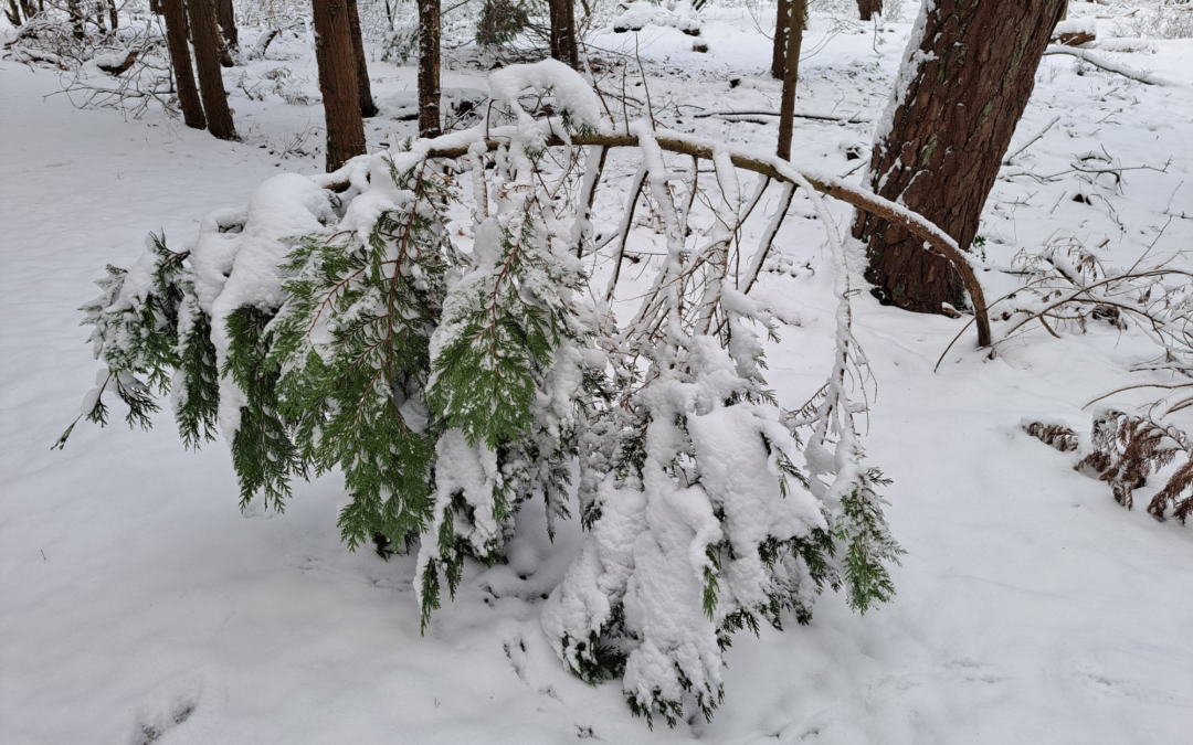 Systemisch werk is meer dan alleen de sessie